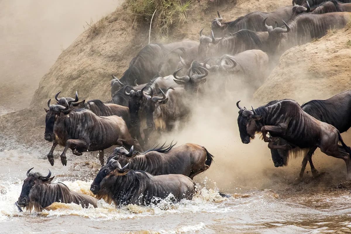 Serengeti National Park