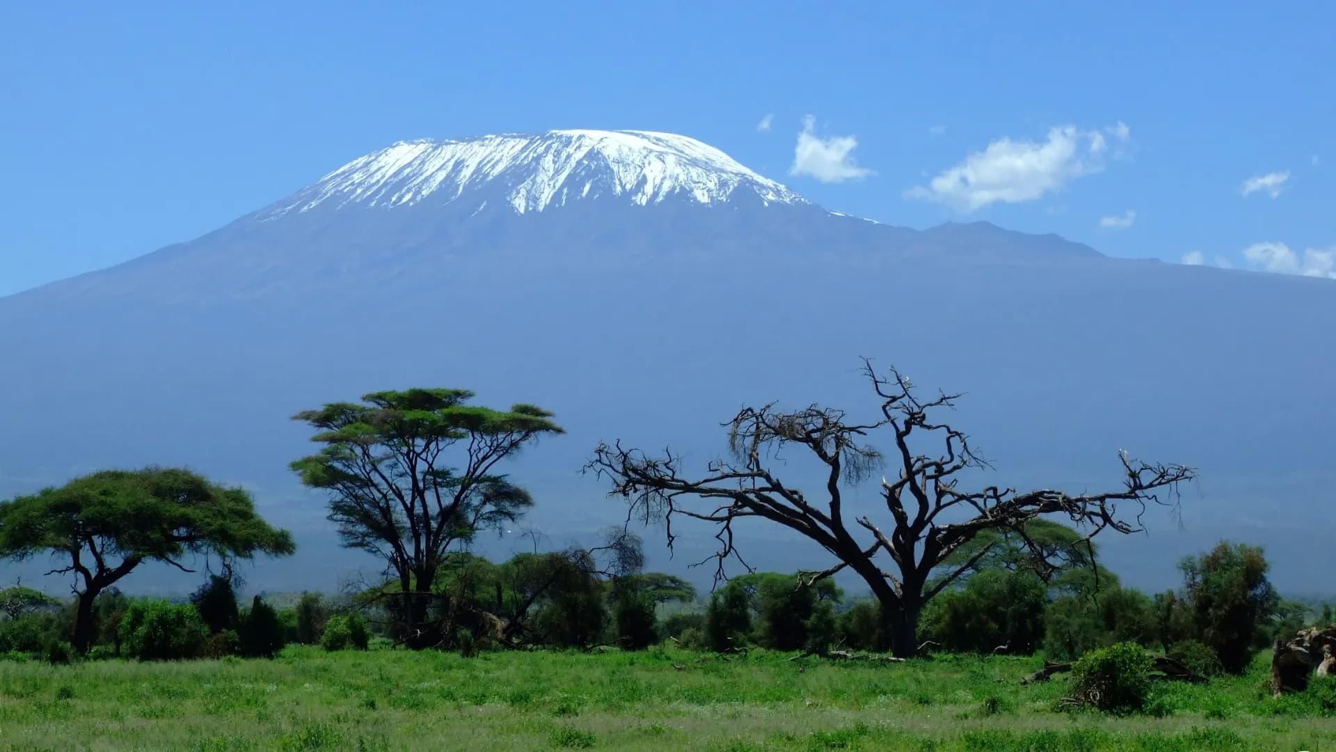 How to Climb Kilimanjaro: Routes, Cost & Everything You Need to Know