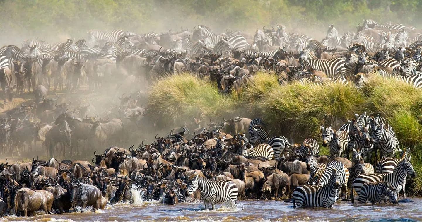 Masai Mara, Kenya