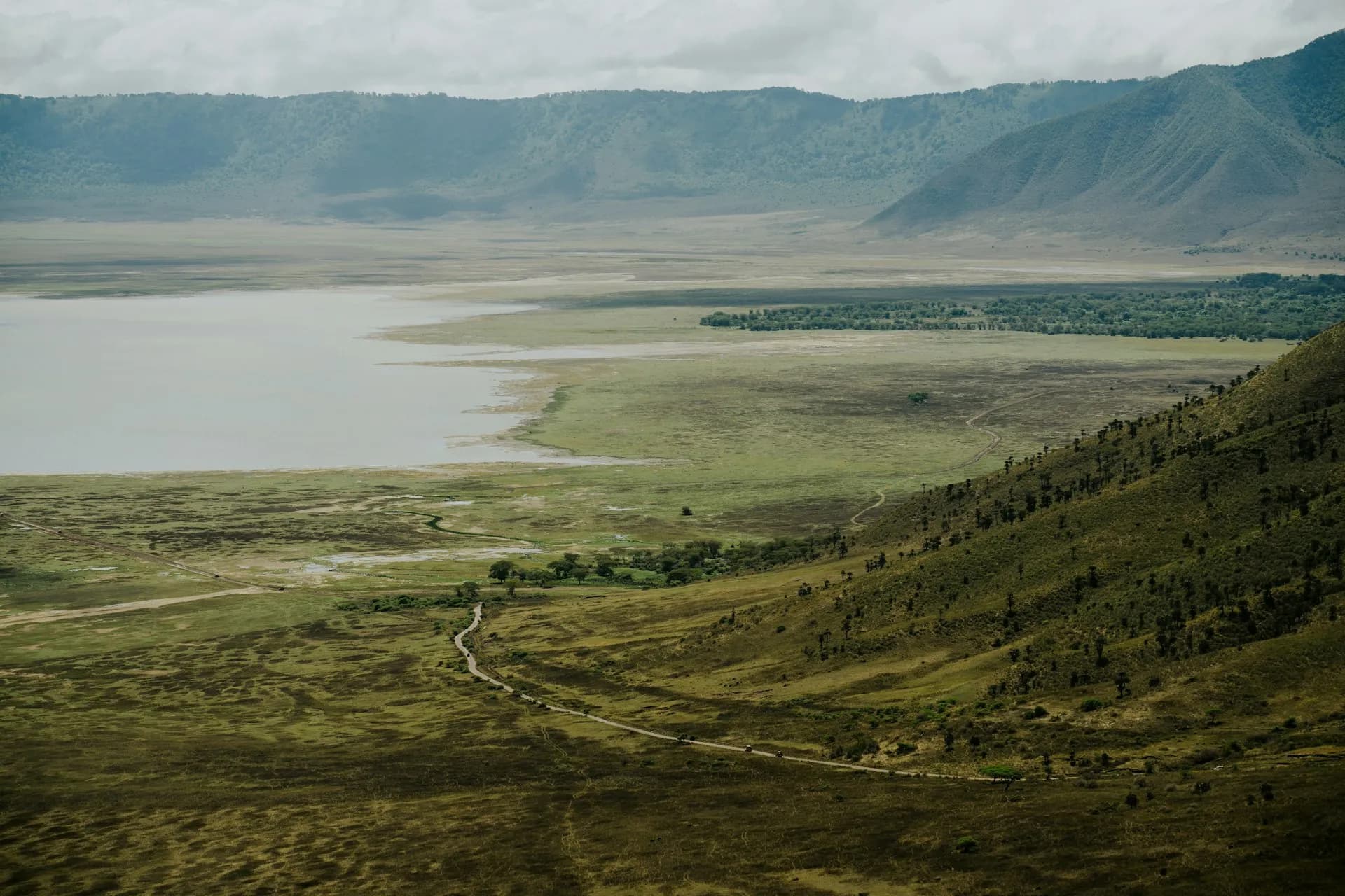7 Days Serengeti & Ngorongoro