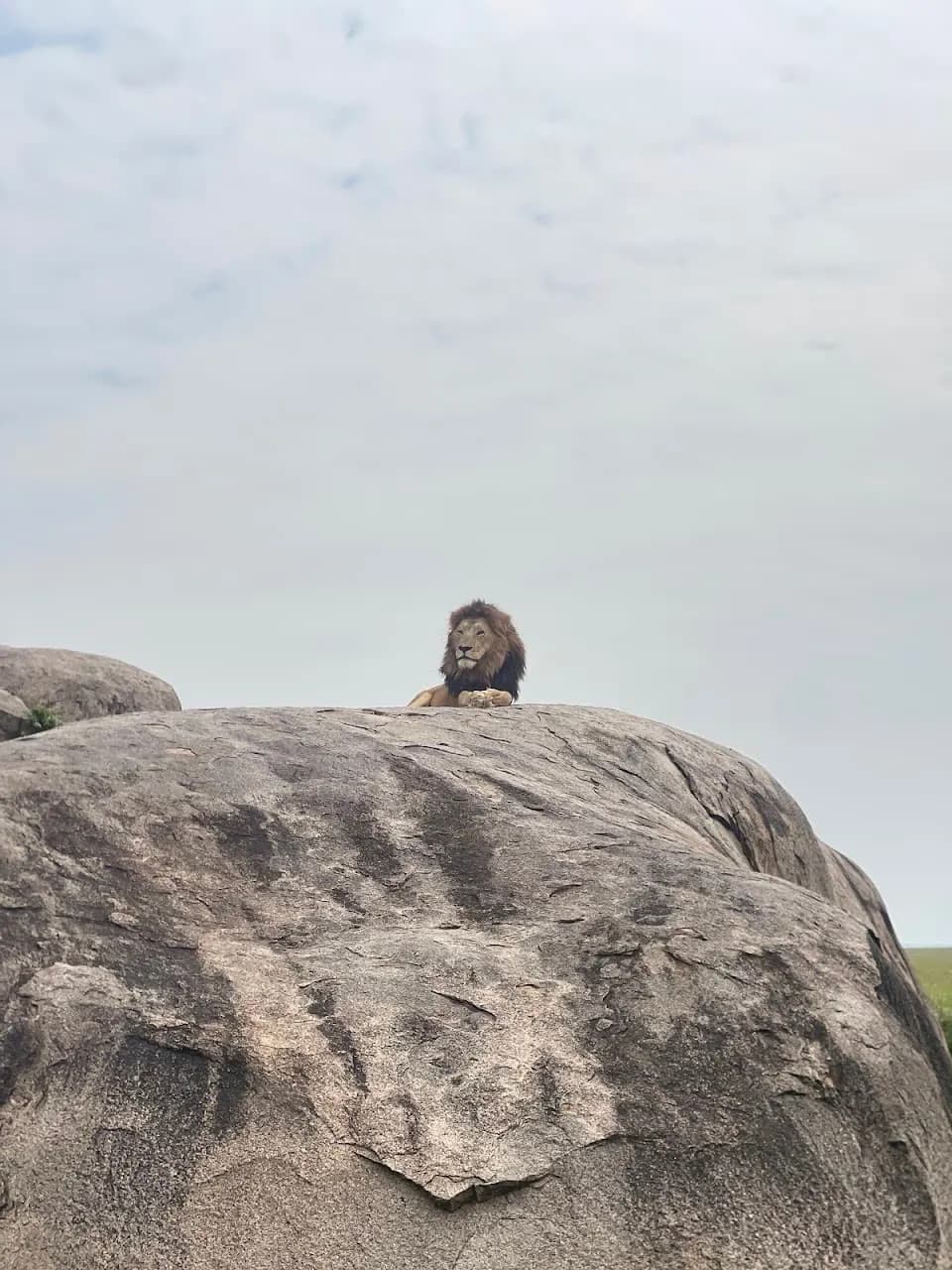 Ngorongoro Crater